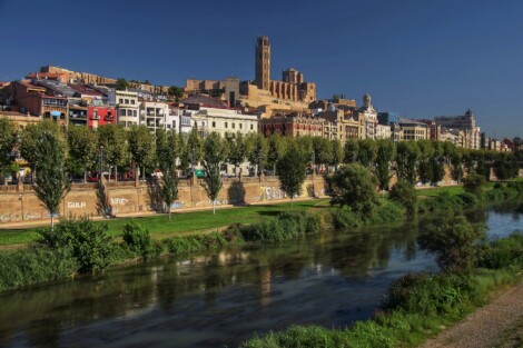 Nouceprom Cómo obtener una Cédula Urgente en Lleida en 5 días | Caso Real